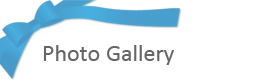 フォトギャラリー
